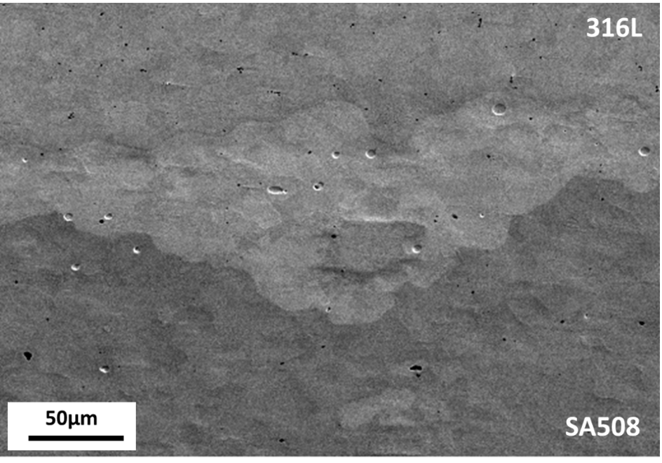 Figure 4 SEM Secondary Electron Image of a FAST joint processed using gas-atomized 316l and SA508 powder at 1100oC with a dwell time of 30min and 35MPa pressure.