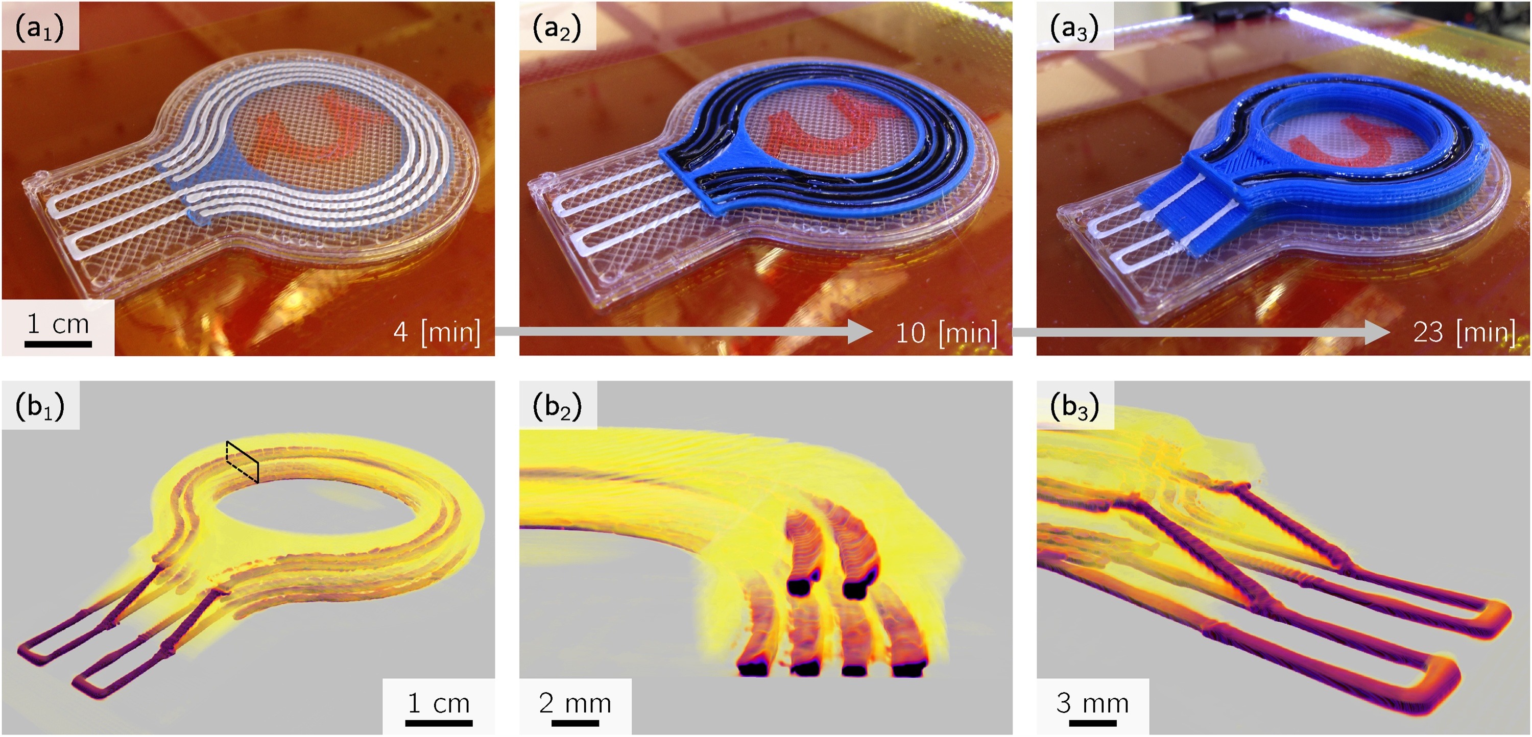 Single-operation,_multi-phase_additive_manufacture_of_electro-chemical_double_layer_capacitor_devices.jpg - Caption:a Photographs of sequential manufacture and b XRT renders of 3D spatial arrangement of EDLC components. a1 Housing base layer FFF and current collectors, a2 electrodes in cavities, a3 stacking of printed EDLCs,b1 complete device, b2 cross section showing stacked EDLC cells and b3 current collector bridge
connecting stacked cells.