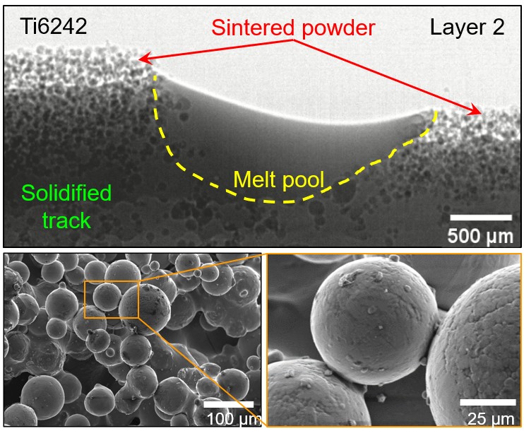 X-ray radiograph image of the melt pool in DED showing a build-up of sintered powder on the track, and SEM images of the powder showing classic sintering necks between particles. - ref LS PhD article