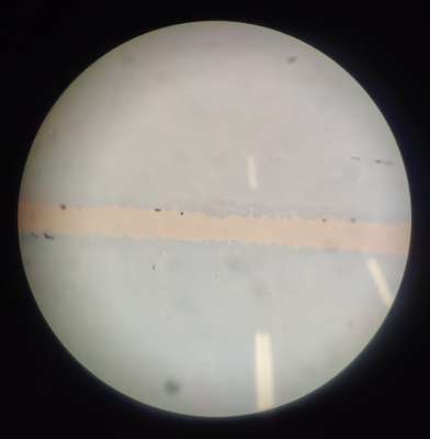 Image 1 frances livera uos - a planet under a microscope