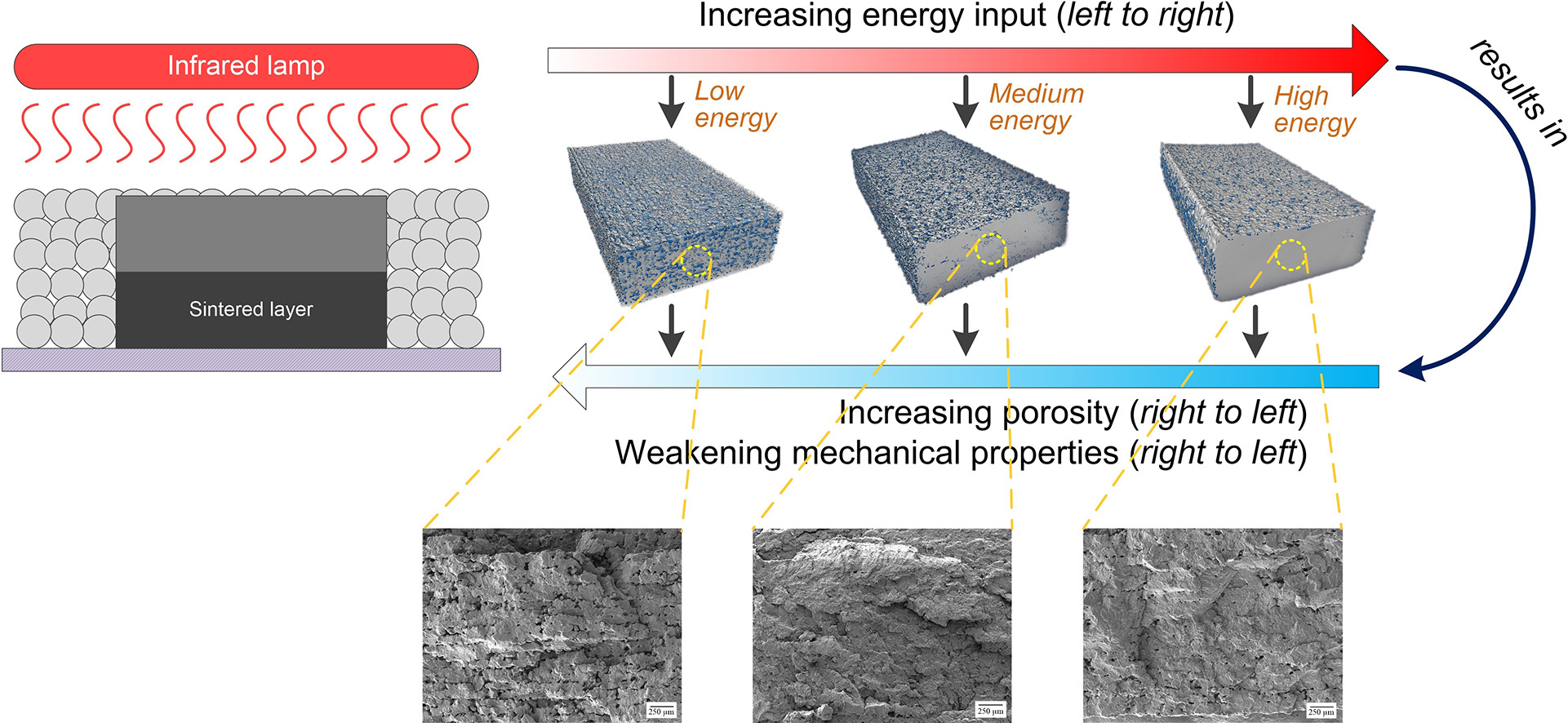 Pore formation and the effect on mechanical properties of High Speed Sintered polyamide-12 parts