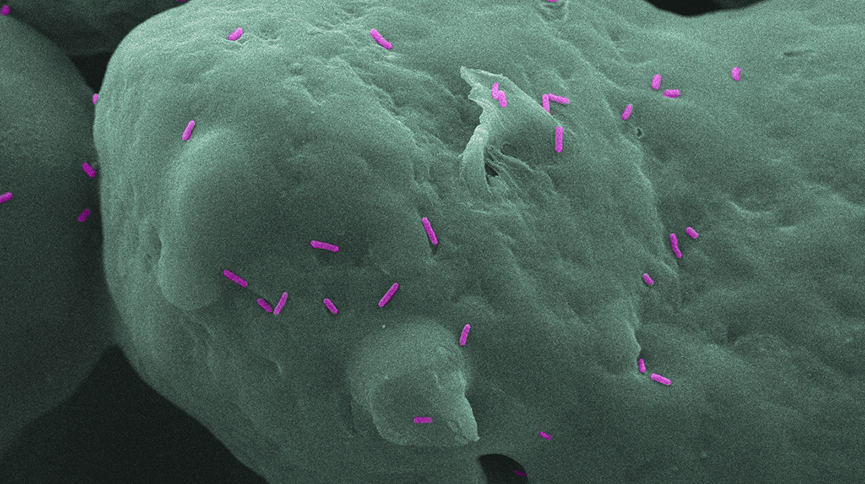 3D printed parts that show resistance to common bacteria