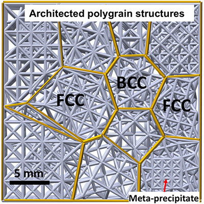 Schematic of polygrain structures - Nature, Vol 565, Issue 7739, 17 January 2019 (DOI: 10.1038/s41586-018-0850-3).